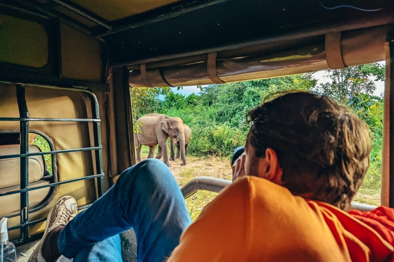 Kandy Amanecer en la Roca de Pidurangala y Safari por Minneriya