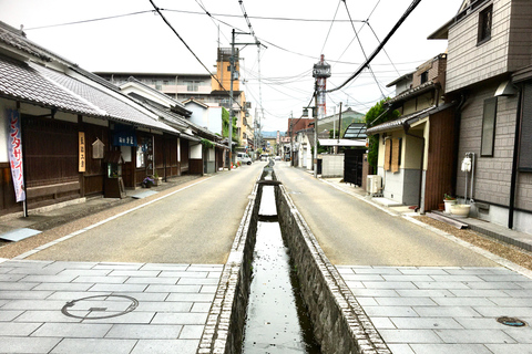 Yamato-Koriyama: Ganztägiges privates Goldfisch-Erlebnis