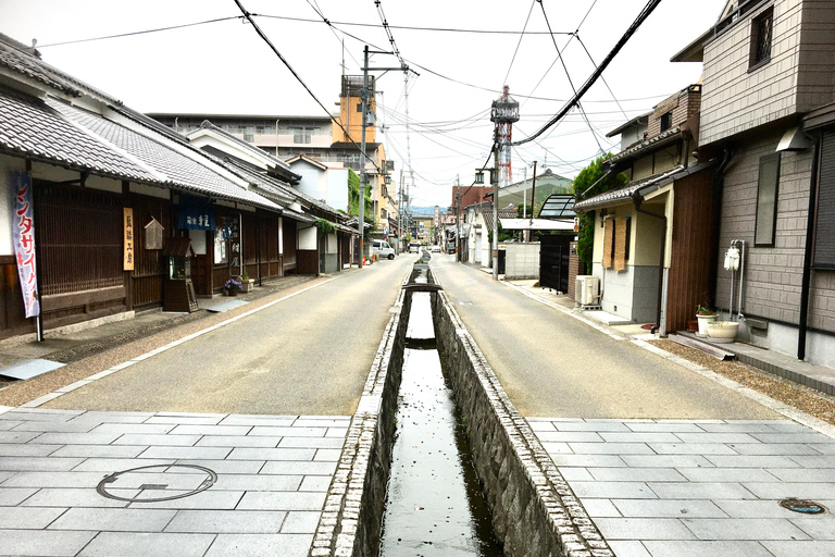 Yamato-Koriyama: Ganztägiges privates Goldfisch-Erlebnis