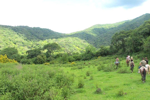 Salta: Full-Day Horseback Ride with BBQ and Snacks Salta: Full-Day Horseback Ride with Mountain Picnic