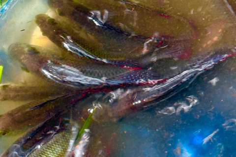 3 Tage und 2 Nächte Magoroto-Wald-Tagestour von Sansibar aus mit dem Flugzeug