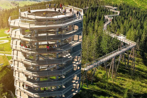 from Zakopane: Treetop Walk and Štrbské Pleso Trip