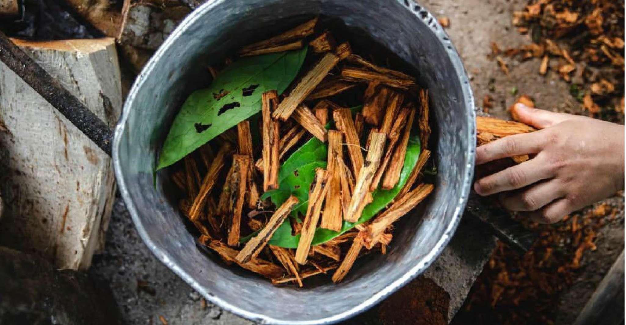 Iquitos, Tratamento de cura com Ayahuasca  1 cerimônia - Hizvo