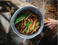 Iquitos, trattamento di guarigione con Ayahuasca | 1 cerimonia - Hizvo