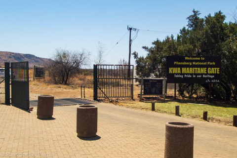 Safari na reserva de caça de Pilanesberg com serviço de busca em Joanesburgo