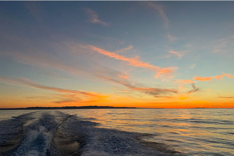 Santa Barbara : Croisières privées sur la côte, à la journée ou au coucher du soleilSanta Barbara : croisière privée d&#039;une journée sur la côte ou au coucher du soleil