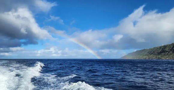 O‘ahu: Whale Tails and Sunset Sails Small-Group Cruise