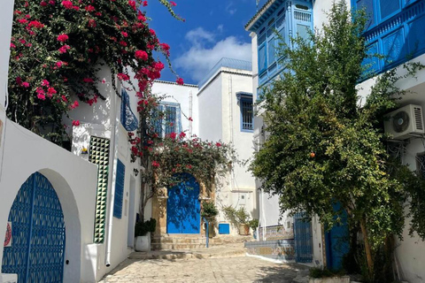 Tunis VIP Tour: Comfort, Fun & Best Value All-in-One !! Tunis : WITHOUT Pick-Up WITHOUT inclusions (Not Recommended)