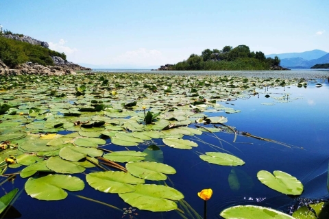 Au départ de Budva : Excursion terrestre et en bateau sur le lac Skadar