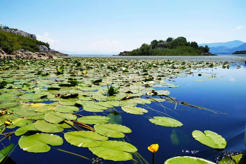 From Budva: Skadar Lake Land and Boat Tour
