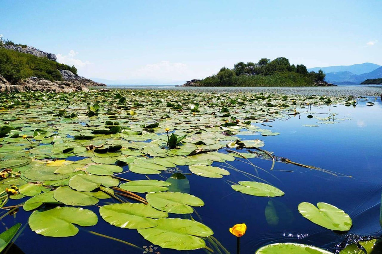 From Budva: Skadar Lake Land and Boat Tour