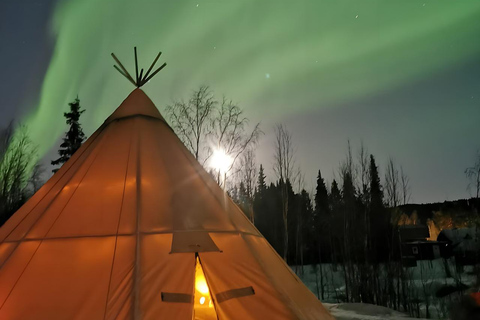 Kiruna: Sami-Inspired BBQ Dinner with Northern Lights Chase