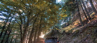 4x4 Serra da estrela - Housity