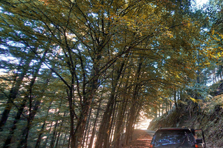 4x4 Serra da Estrela