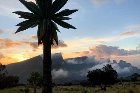 Simien Mountains National Park 2 - Day Trekking Tour