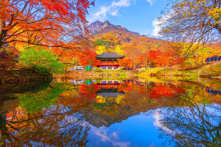 Seoul: Naejangsan National Park Autumn Foliage One Day Tour Shared Tour, Meet at Dongdaemun