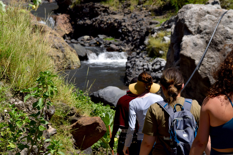 Arusha: Lake Natron Day Trip (Lake Walk &amp; Waterfall Hike)
