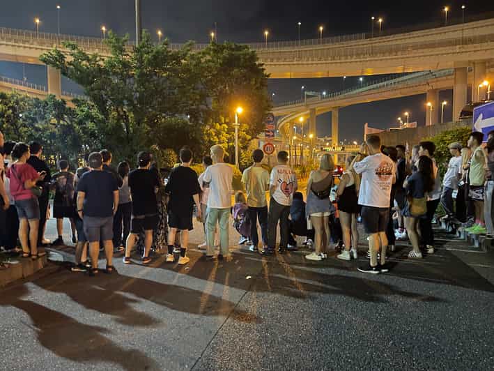 Daikoku Parking Area : JDM car meet tour by a local Japanese | GetYourGuide