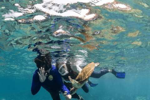 Daymaniat: Muscat Islands Boat Tour with Snorkeling & Brunch Daymaniat Islands Boat Tour with Snorkeling and Brunch