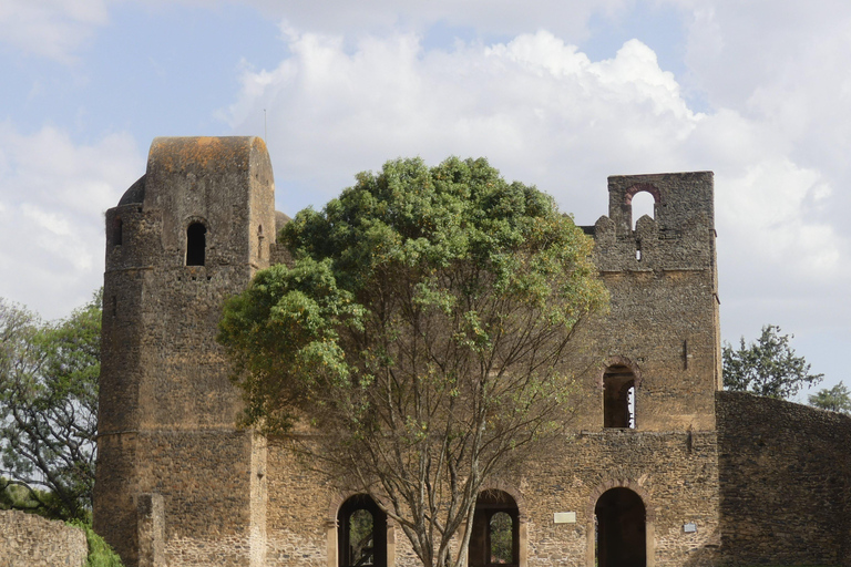 Gondar: Guided City Tour with Fasil Ghebbi & Church Visit 3