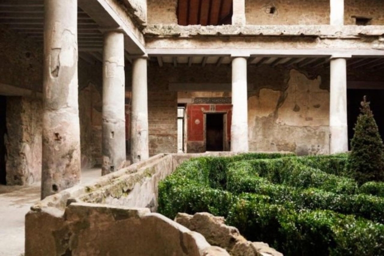 Pompeii verkennen De oude ruïnes ontdekkenPompei verkennen tijdens de ontdekking van antieke runderen