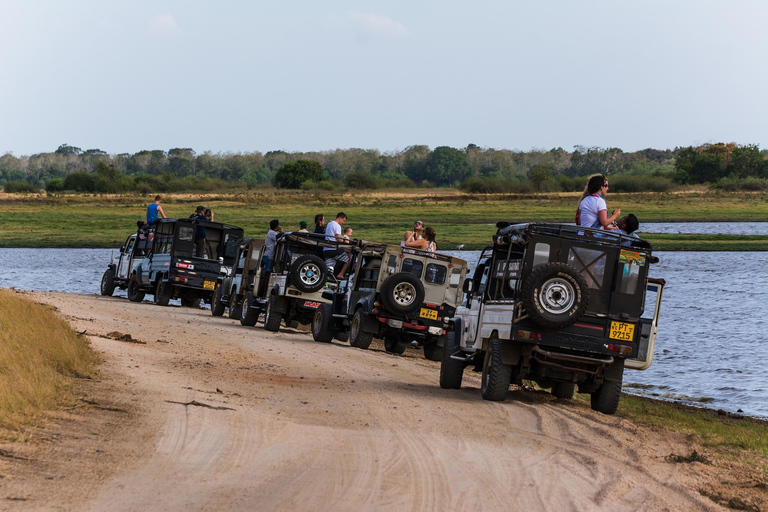 Safari in jeep con gli elefanti nel Parco Nazionale di Minneriya