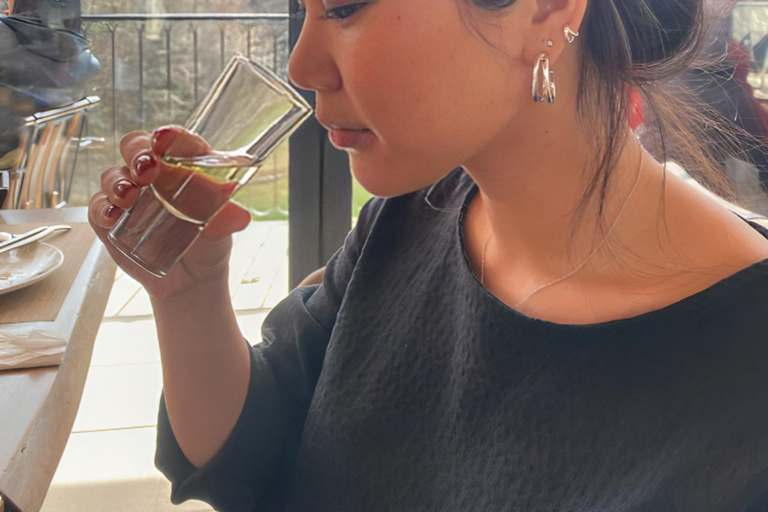 Lalez Wine Tasting, Wine Tour, Kayak & Full Lunch Experience German speaking private group