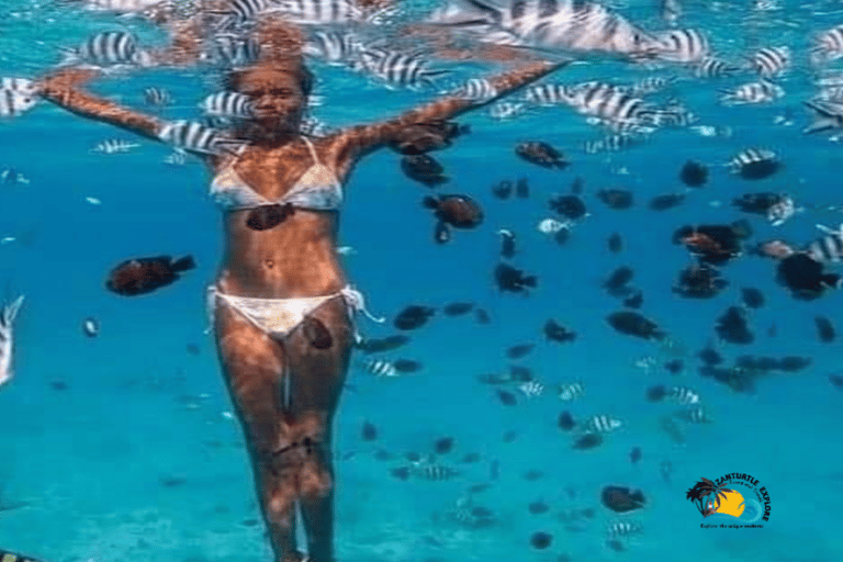 Zanzibar: Blå lagunen, sjöstjärnor och Jozani-skogenTransfer till hotell var som helst på Zanzibar