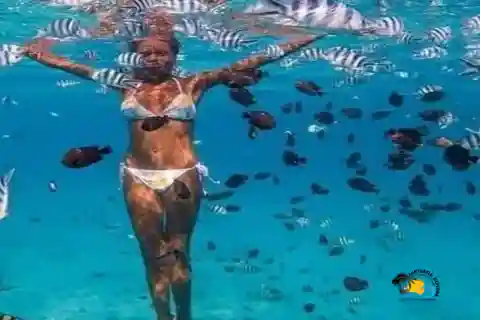 Zanzibar: tour della laguna blu, delle stelle marine e della foresta di Jozani