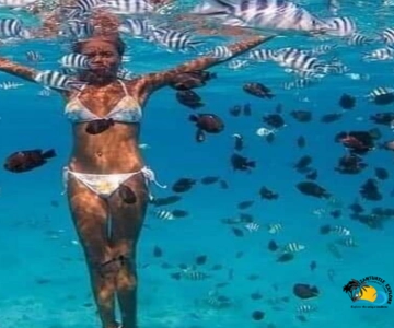Zanzibar: Blue Lagoon, Starfish and Jozani Forest Tour