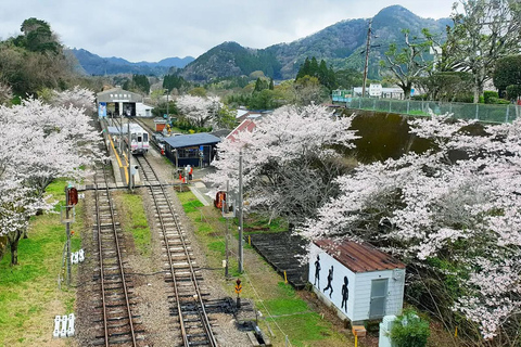 Fukuoka: Takachiho Gorge & Scenic Railway One Day Tour Limited-Time One-Day Tour (Excluding Admission Fees)