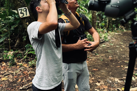 Parque Nacional de Tortuguero: Caminata de un día por el Sendero del Jaguar