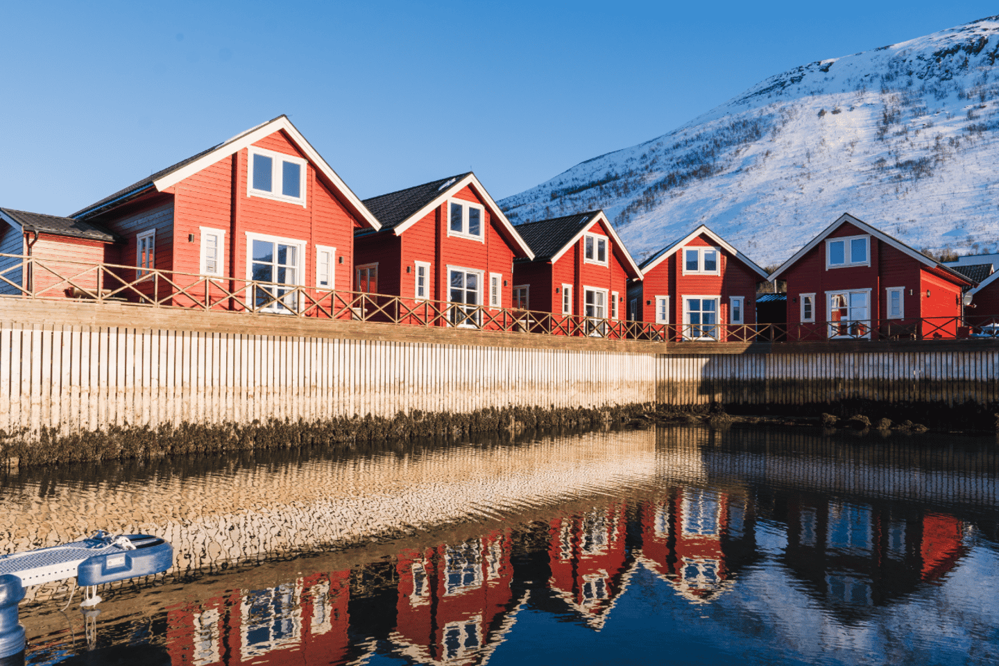 Lyngen: Snowmobile Safari with Lunch in seaside Restaurant