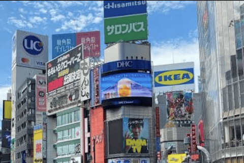 Tokyo: Private City Tour with Tokyo TeamLab Planets.