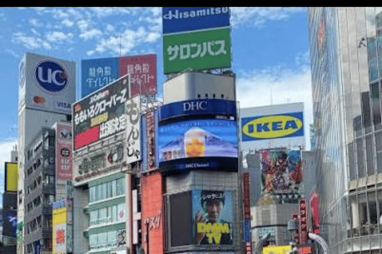Tokyo: Private City Tour with Tokyo TeamLab Planets.