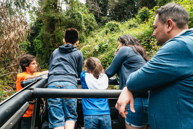 Funchal: Porto Moniz, Foresta di Fanal e Cabo Girao Jeep TourTour condiviso