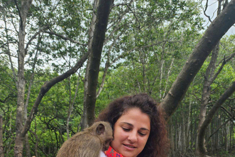 Excursão de 1 dia à floresta de mangue de Can Gio e à Ilha dos Macacos