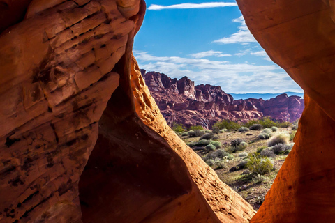 Las Vegas to Valley of Fire Desert Safari