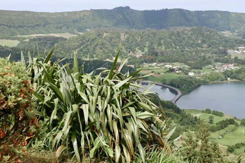 Azores: Sete Cidades Mountain Horseback Ride