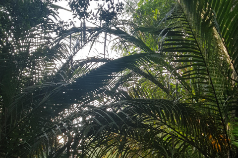 Excursão particular de meio dia - Mercado flutuante de Cái RăngExcursão particular de meio dia - Mercado flutuante de Cai Răng