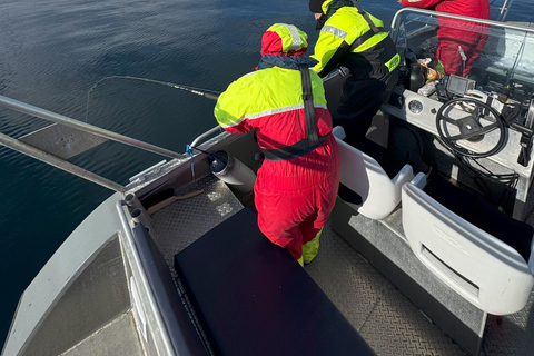 Tromsø: Private Fishing Tour