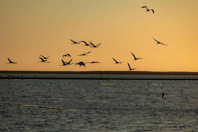 Swakopmund Sunset Magic – Desert Glow, Ocean Dreams