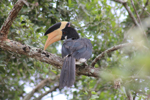 Van: Mirissa/ Matara/ Koggala - YALA Safari -Afzetten: Ella