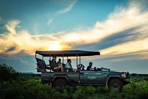 Hwange National Park: Game Drive Safari from Victoria Falls