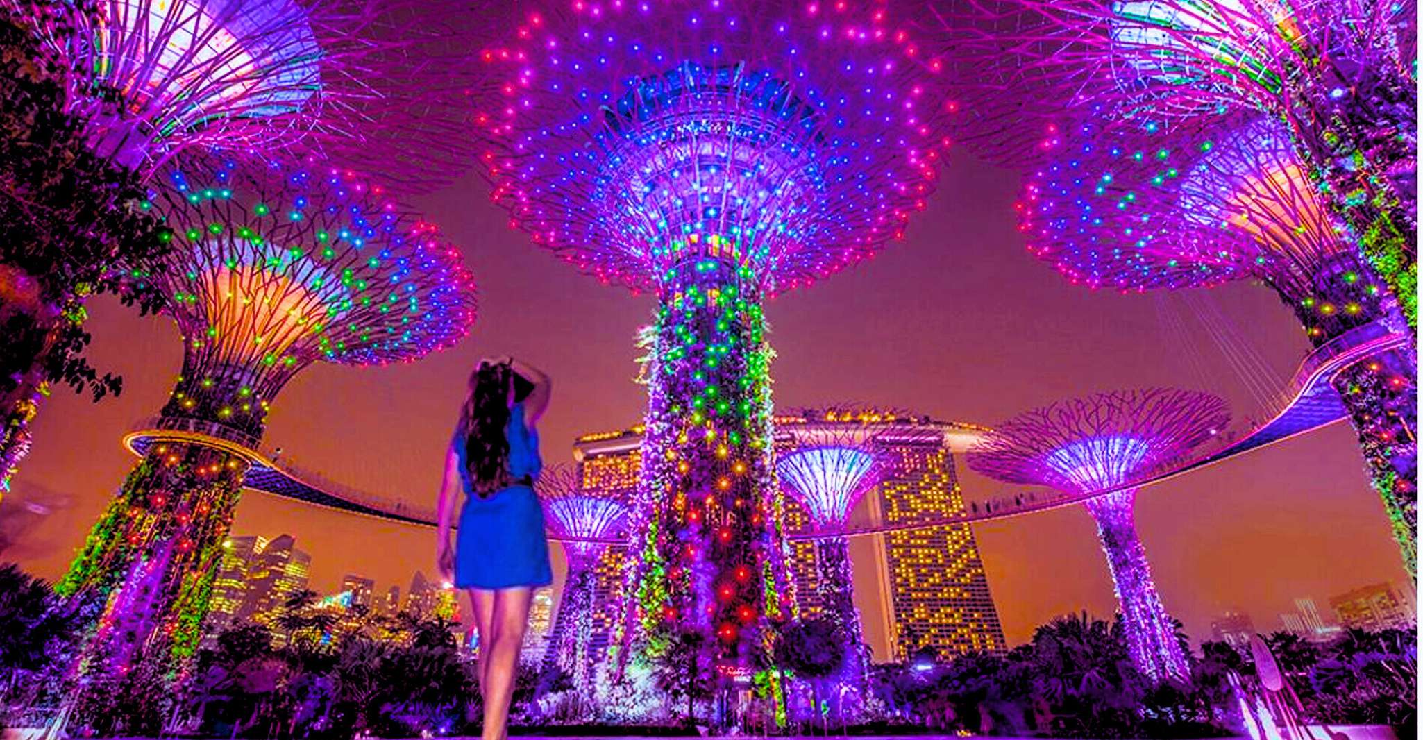 Singapore River Cruise, Spectra & Garden Rhapsody Light Show