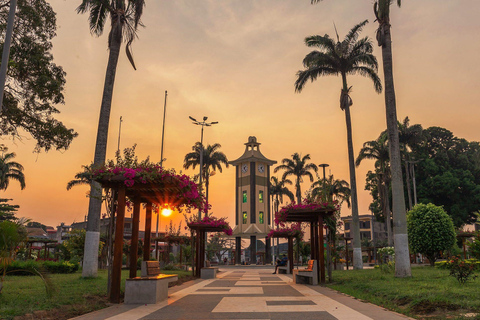 Puerto Maldonado: Tambopata Night Jungle Tour