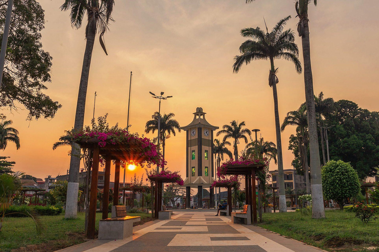 Puerto Maldonado: Tambopata Night Jungle Tour