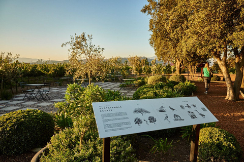 Santiago: Casablanca Wine Tour — 2 Award-Winning Wineries