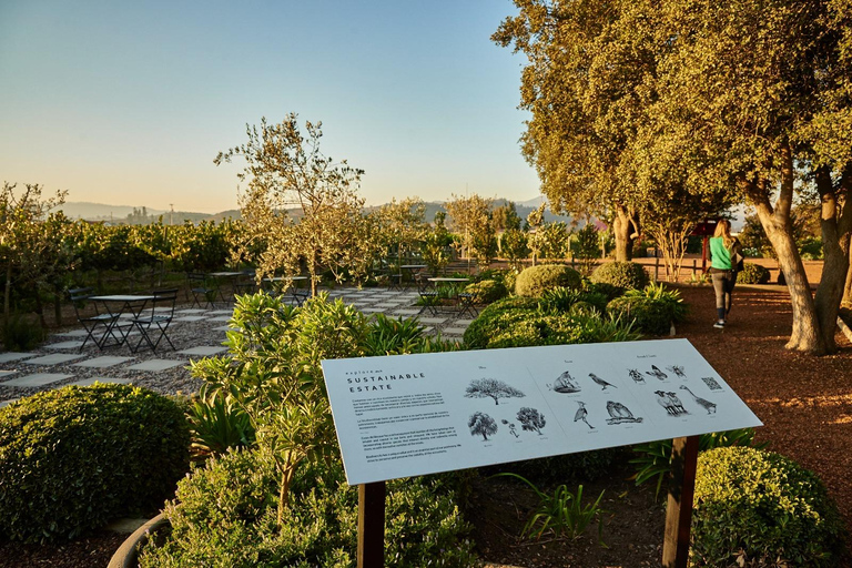 Santiago: Casablanca Wine Tour — 2 Award-Winning Wineries