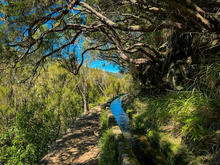 Madeira: Vale do Rabaçal e a Caminhada das 25 Fontes | GetYourGuide